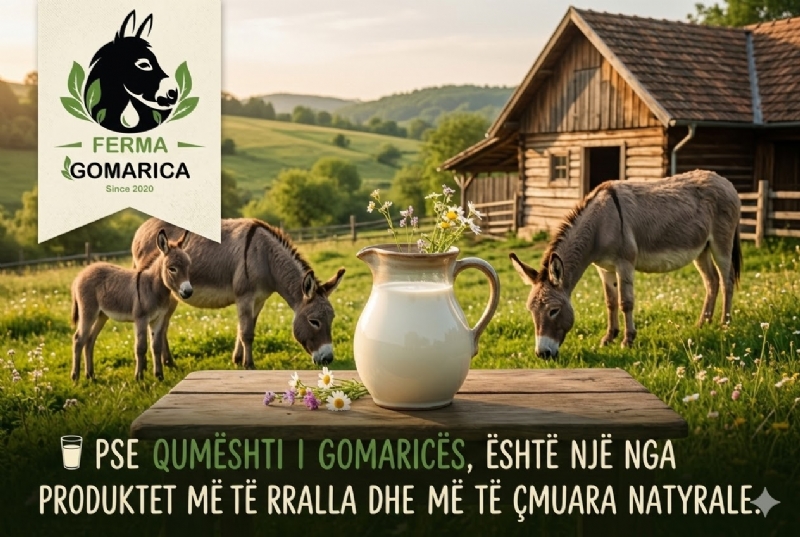 Pse qumështi i Gomaricës, është një nga produktet më të rralla dhe më të çmuara natyrale