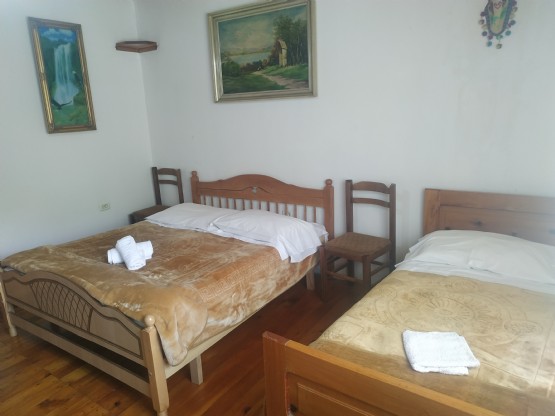 Akomodim Te Hotel Alpini, Dhoma e Lahutes Hotel Alpini Lepushe, Bjeshket e Kelmendit Shkoder, Guesthouse Alpini Lepushe, Albania